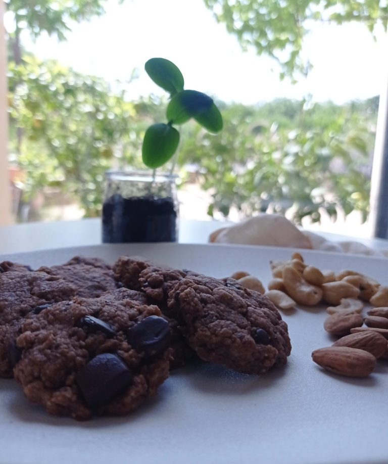 Cookies au chocolat végan